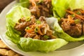 Healthy Asian Chicken Lettuce Wrap Royalty Free Stock Photo