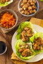 Healthy Asian Chicken Lettuce Wrap Royalty Free Stock Photo