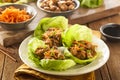 Healthy Asian Chicken Lettuce Wrap Royalty Free Stock Photo