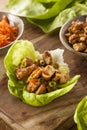 Healthy Asian Chicken Lettuce Wrap Royalty Free Stock Photo