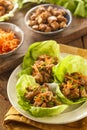 Healthy Asian Chicken Lettuce Wrap Royalty Free Stock Photo