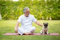 Healthy Asian Elderly man with white hairs doing exercise and playing with dog pug breed on green grass at park,Wellness Senior Royalty Free Stock Photo