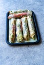 Healthy Asian Vietnamese Spring Roll  Goicuon with Rice Paper Rolls and Avocado Mayonnaise Royalty Free Stock Photo