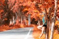 Healthy athletic asian woman is drinking pure water from the bottle refreshing herself after exercise in the nature autumn park. Royalty Free Stock Photo