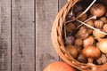 Natural autumn harvest. Close-up of colorful vegetables and fruits lying on old boards. Royalty Free Stock Photo