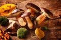 Healthy autumn harvest of fungi and rose hips