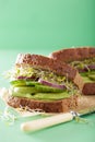 Healthy avocado sandwich with cucumber alfalfa sprouts onion Royalty Free Stock Photo