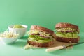 Healthy avocado sandwich with cucumber alfalfa sprouts onion Royalty Free Stock Photo