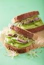 Healthy avocado sandwich with cucumber alfalfa sprouts onion Royalty Free Stock Photo