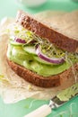 Healthy avocado sandwich with cucumber alfalfa sprouts onion Royalty Free Stock Photo