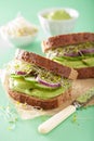 Healthy avocado sandwich with cucumber alfalfa sprouts onion Royalty Free Stock Photo