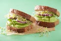 Healthy avocado sandwich with cucumber alfalfa sprouts onion Royalty Free Stock Photo