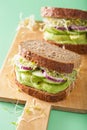 Healthy avocado sandwich with cucumber alfalfa sprouts onion Royalty Free Stock Photo