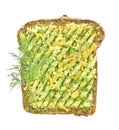 Healthy avocado toast for breakfast with grated cheese. Vegetarian sandwiches