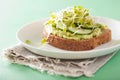 Healthy avocado toast with cucumber radish sprouts Royalty Free Stock Photo