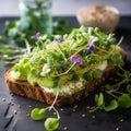 Healthy avocado toasts for breakfast or lunch with rye bread