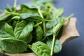 Healthy baby spinach leaves in wooden bowl closeup Royalty Free Stock Photo