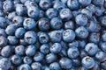 healthy background. blueberry texture. blueberries background. fruit background