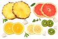 healthy background. slices of grapefruit, kiwi fruit, orange and pineapple isolated on white background top view Royalty Free Stock Photo