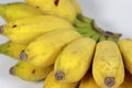 Large banana fruits on wooden background.