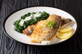 Healthy barbecue seabass fillet with braised spinach close-up on a plate. horizontal