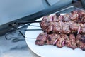 healthy bbq kebab - grilled bbq chicken pork meat on skewers on a plate outdoor Royalty Free Stock Photo