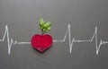 Healthy beetroot with heart shape and electrocardiogram on blackboard Royalty Free Stock Photo