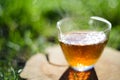 Healthy beverage. Freshly brewed black tea in glass cup on wood