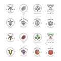 Healthy bio cosmetics oil linear logos. Organic cosmetics ingredients icons set