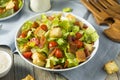 Healthy BLT Salad with Croutons Royalty Free Stock Photo