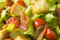 Healthy BLT Salad with Croutons Royalty Free Stock Photo