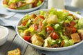 Healthy BLT Salad with Croutons Royalty Free Stock Photo