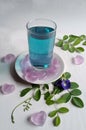 Healthy blue butterfly flower drink with ice cubes Royalty Free Stock Photo