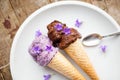 Healthy blueberry and cocoa vegan icecream