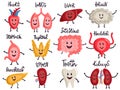 Healthy body organs. Internal human organs characters, biology medicine healthy lungs, liver, bladder, kidneys and heart