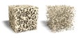 Healthy bone and osteporosis bone, medically 3D Illustration Royalty Free Stock Photo