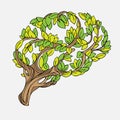 Healthy brain vector concept illustration. Tree and leaves in form of brain.