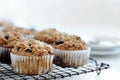 Healthy bran muffin