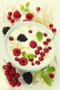 Healthy breakfast: bowl of cerial with yogurt or milk Royalty Free Stock Photo