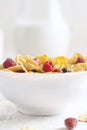 Bowl of corn granola with milk, fresh raspberries, blueberries Royalty Free Stock Photo