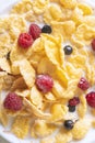 granola with milk, fresh raspberries, blueberries . milk Royalty Free Stock Photo