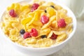 Bowl of corn granola with milk, fresh raspberries, blueberries Royalty Free Stock Photo