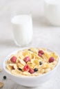 Bowl of corn granola with milk, fresh raspberries, blueberries . milk in a jug and a glass Royalty Free Stock Photo