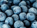 Healthy Breakfast: Close up of frozen blueberries with ice crystals