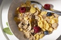 Healthy breakfast with corn flakes, berries and milk on white background. top view Royalty Free Stock Photo