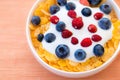 Healthy breakfast  - Cornflakes with bilberries, raspberries and yogurt Royalty Free Stock Photo
