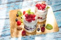 Healthy breakfast - dessert with yogurt, granola, outs flakes, j Royalty Free Stock Photo