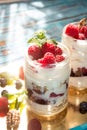 Healthy breakfast - dessert with yogurt, granola, outs flakes, j Royalty Free Stock Photo