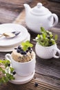 Healthy breakfast. Fresh homemade mug cake with forest blueberries in a white ceramic bowl sprig of ripe berries on the Royalty Free Stock Photo