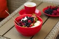 Healthy breakfast on garden furniture: cottage cheese with sour cream, strawberry, raspberry and blueberry, espresso Royalty Free Stock Photo